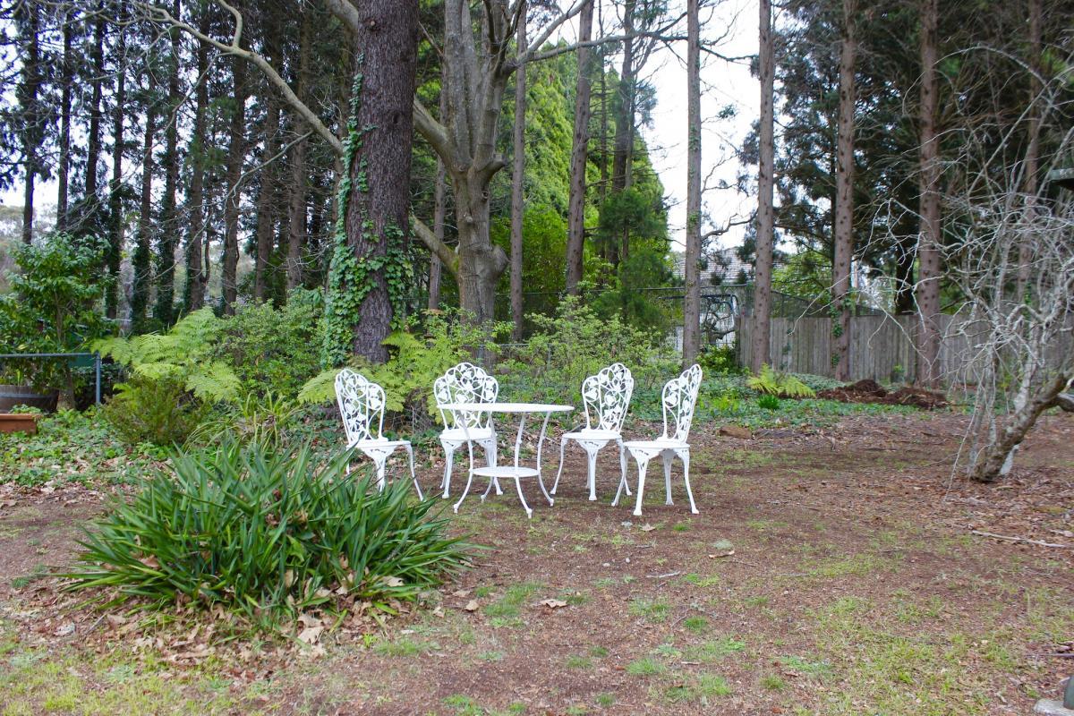 Back Garden